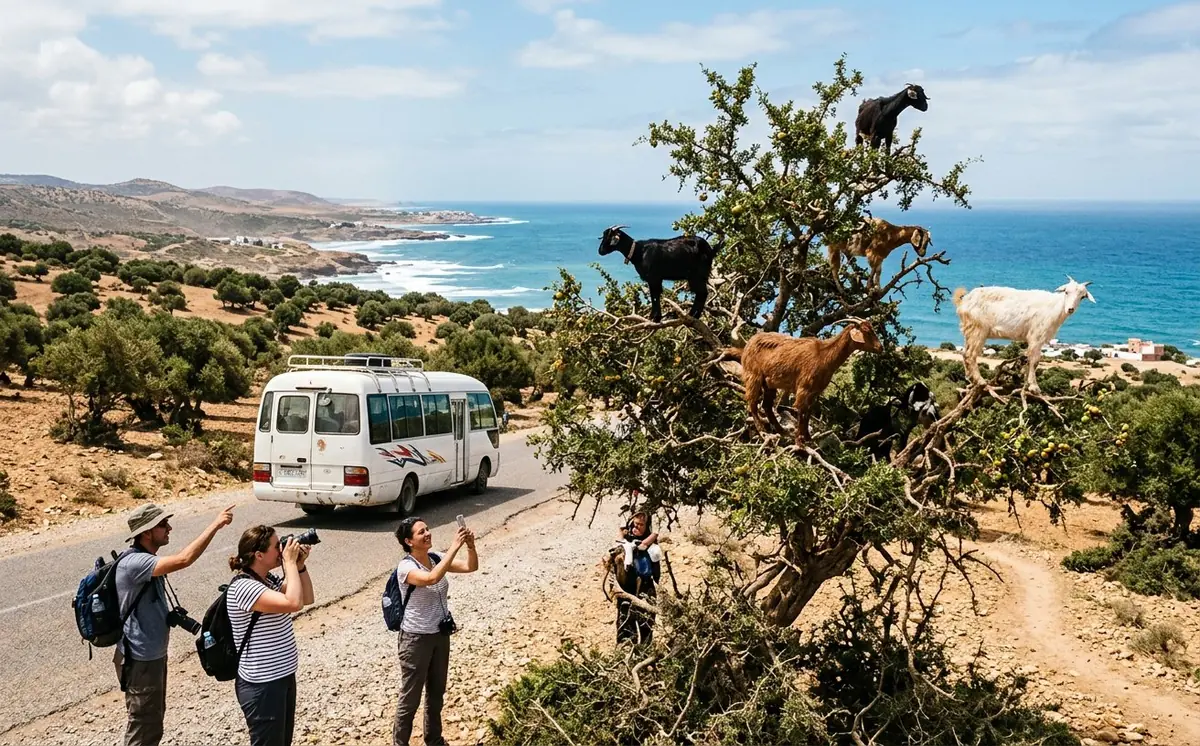 From Marrakech: Essaouira & Atlantic Coast Full-Day Trip — Essaouira, Morocco